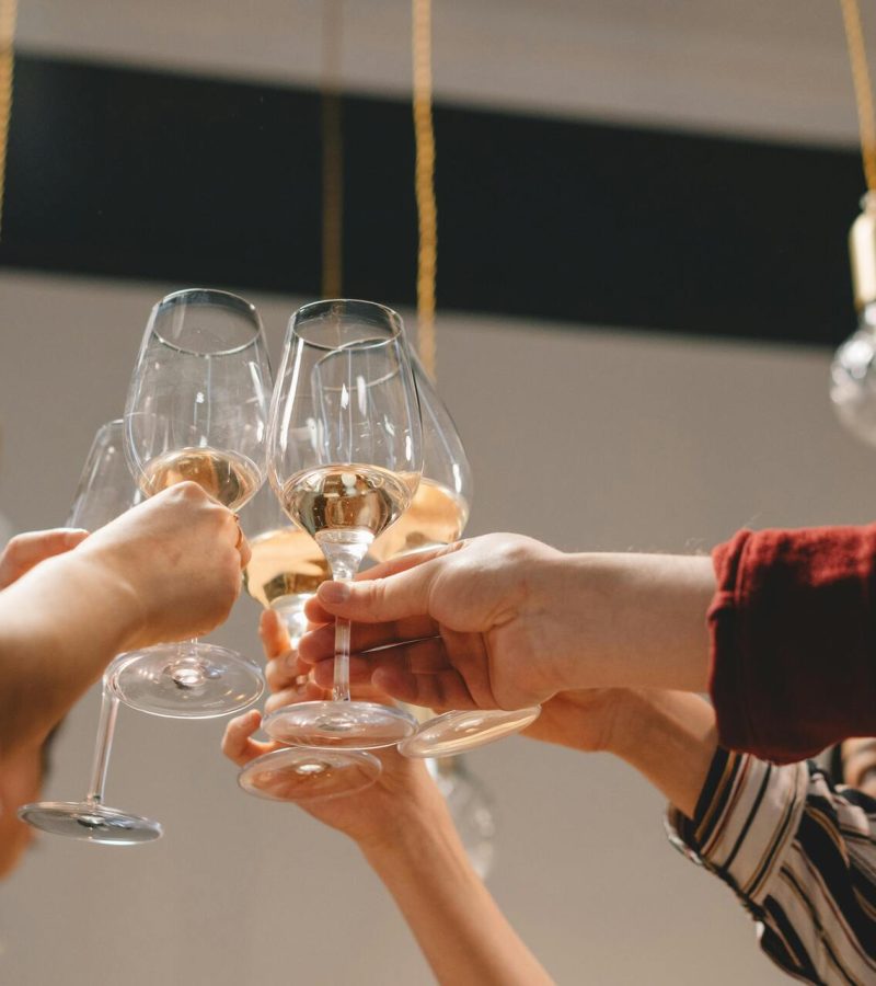 pexels-cottonbro-6952740 copia