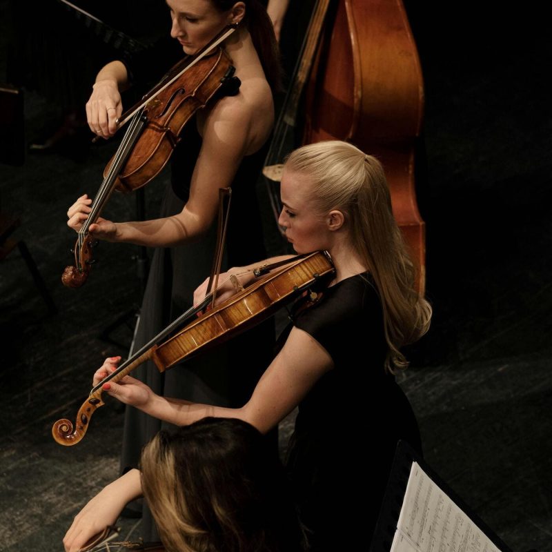 pexels-cottonbro-7097454